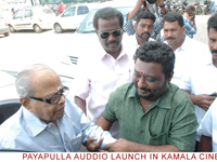 payapullaaudio